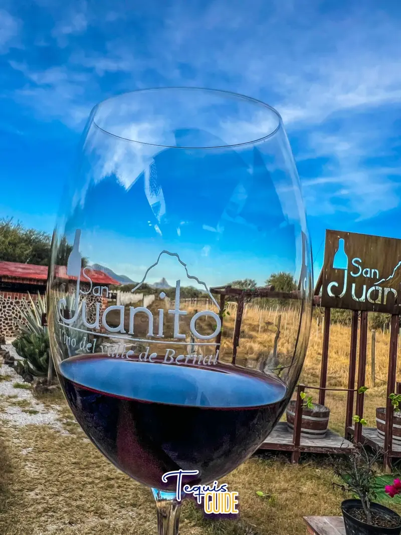 Viñedo San Juanito: experiencia sensorial en Tequisquiapan